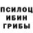 Галлюциногенные грибы Psilocybe ya_maaasya